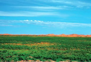 美麗中國先鋒榜 18 內(nèi)蒙古杭錦旗庫布其沙漠治理創(chuàng)新實踐