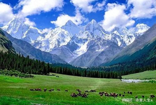 歐洲人毀滅歐洲,西班牙南部沙漠化 當(dāng)?shù)鼐W(wǎng)友 只有中國人在種樹