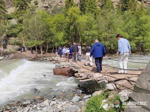昭蘇縣濕地生態保護成效顯著，動植物種群數量穩步擴大